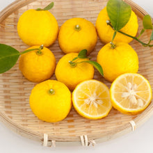 Load image into Gallery viewer, Citron | Yuzu
