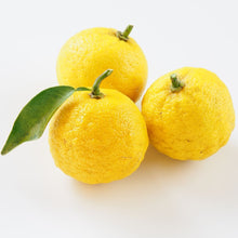 Load image into Gallery viewer, Citron | Yuzu
