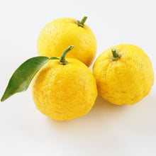 Load image into Gallery viewer, Citron | Yuzu