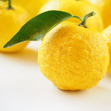 Load image into Gallery viewer, Citron | Yuzu