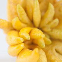 Load image into Gallery viewer, Citron | Buddha's Hand