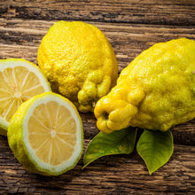 Load image into Gallery viewer, Lemon | Bush Lemon