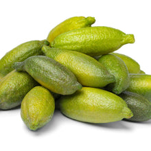 Load image into Gallery viewer, Lime | Finger Lime