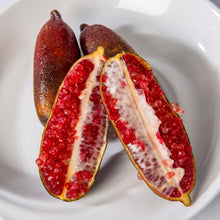 Load image into Gallery viewer, Lime | Finger Lime