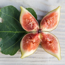 Load image into Gallery viewer, Fig | Black Genoa