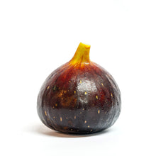 Load image into Gallery viewer, Fig | Black Genoa
