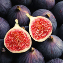 Load image into Gallery viewer, Fig | Black Genoa