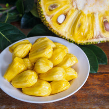 Load image into Gallery viewer, Jackfruit | Galaxy