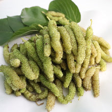 Load image into Gallery viewer, Mulberry | King White Shahtoot