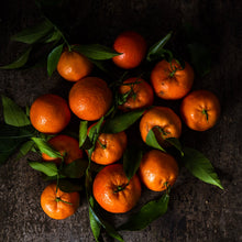 Load image into Gallery viewer, Mandarin | Hickson