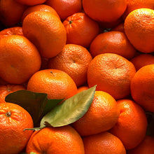 Load image into Gallery viewer, Mandarin | Hickson