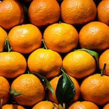 Load image into Gallery viewer, Mandarin | Hickson