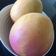 Load image into Gallery viewer, Mango | R2E2