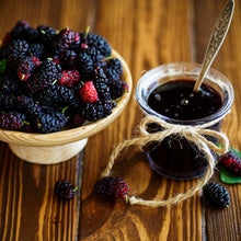 Load image into Gallery viewer, Mulberry | Dwarf Black Mulberry