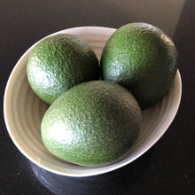 Load image into Gallery viewer, Avocado | Reed