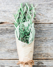Load image into Gallery viewer, Herb | Rosemary