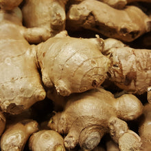 Load image into Gallery viewer, Ginger | Zingiber Officinale