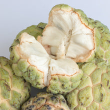 Load image into Gallery viewer, Custard Apple | Paxton Prolific
