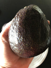 Load image into Gallery viewer, Avocado | Sir Prize
