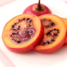 Load image into Gallery viewer, Tamarillo | Red Tamarillo