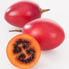 Load image into Gallery viewer, Tamarillo | Red Tamarillo