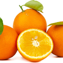 Load image into Gallery viewer, Orange | Lanes Late Navel