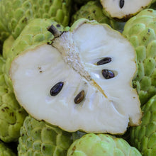 Load image into Gallery viewer, Custard Apple | Paxton Prolific