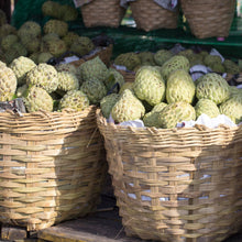 Load image into Gallery viewer, Custard Apple | Paxton Prolific