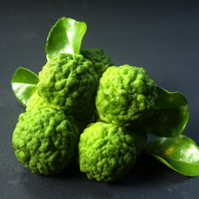 Load image into Gallery viewer, Lime | Kaffia