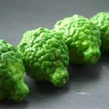 Load image into Gallery viewer, Lime | Kaffia