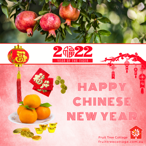 Chinese New Year 2022 (Featured Image)