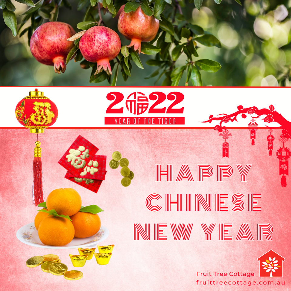 Chinese New Year 2022