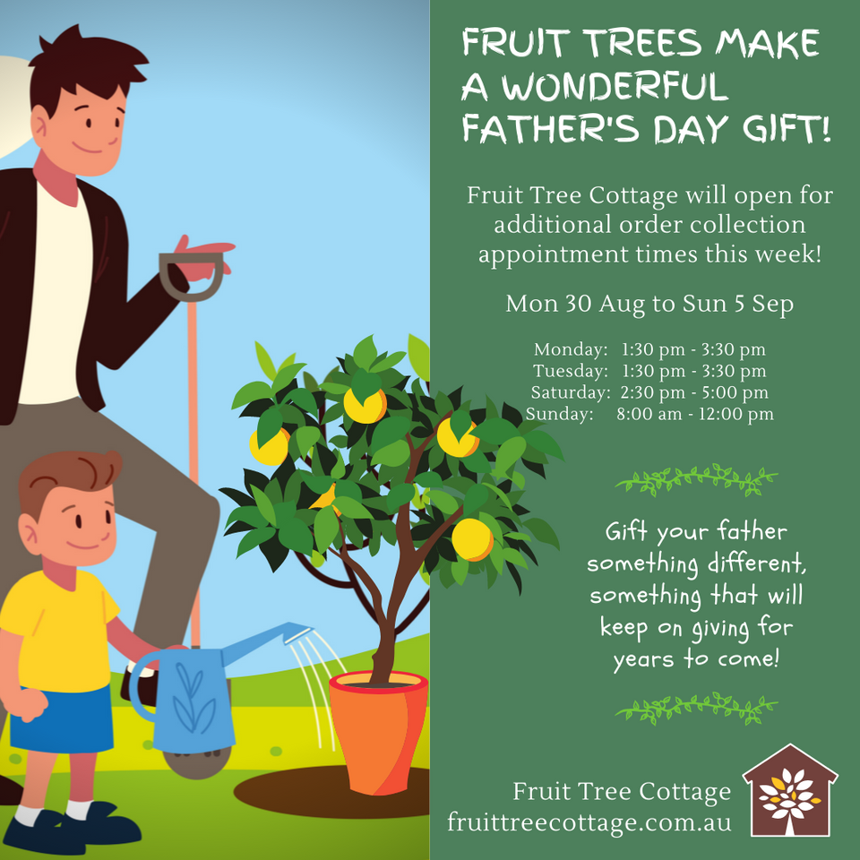 Fruit Trees for Father's Day 2021