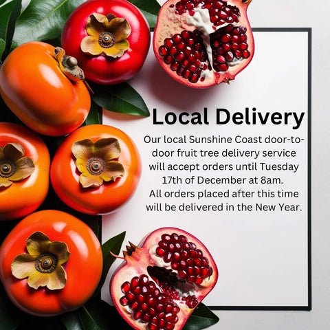 Christmas season dates for our Sunshine Coast Home Delivery Service (Featured Image)