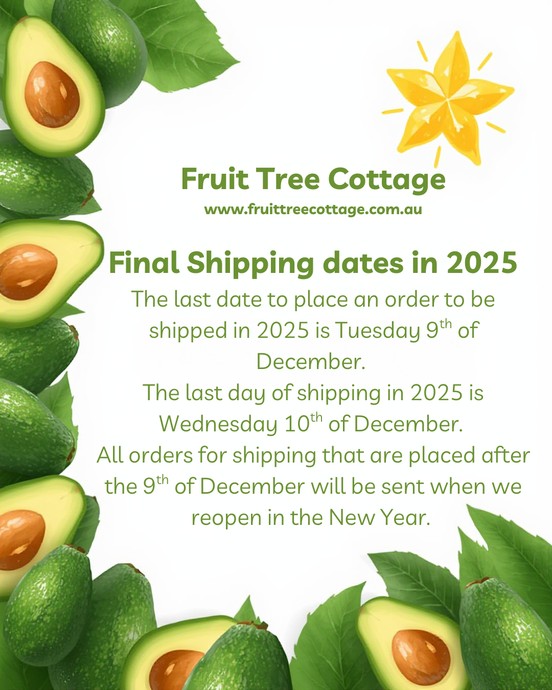 2025 - Final Shipping dates