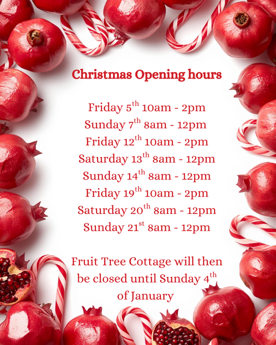 2025 Christmas Opening Hours