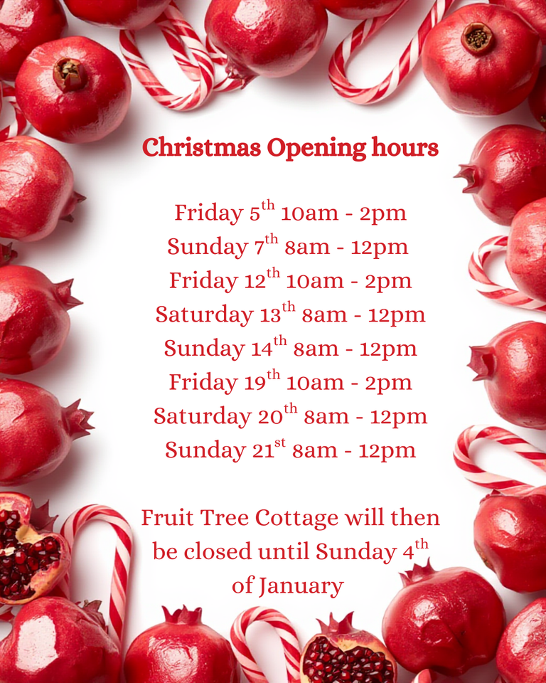 2025 Christmas Opening Hours