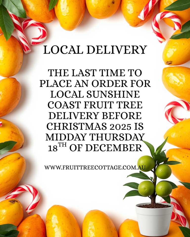 2025 - Local Delivery dates