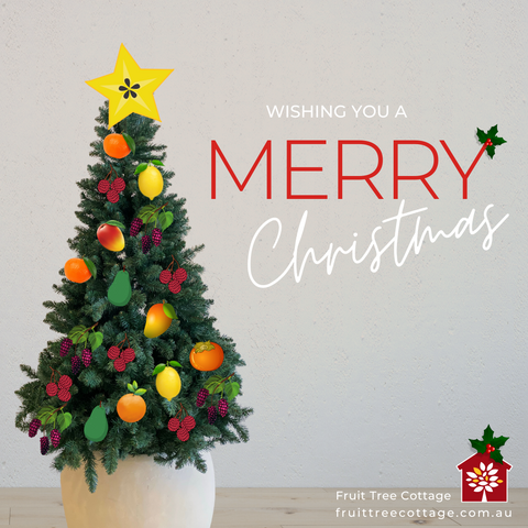 Merry Christmas from Fruit Tree Cottage! (2021) (Featured Image)