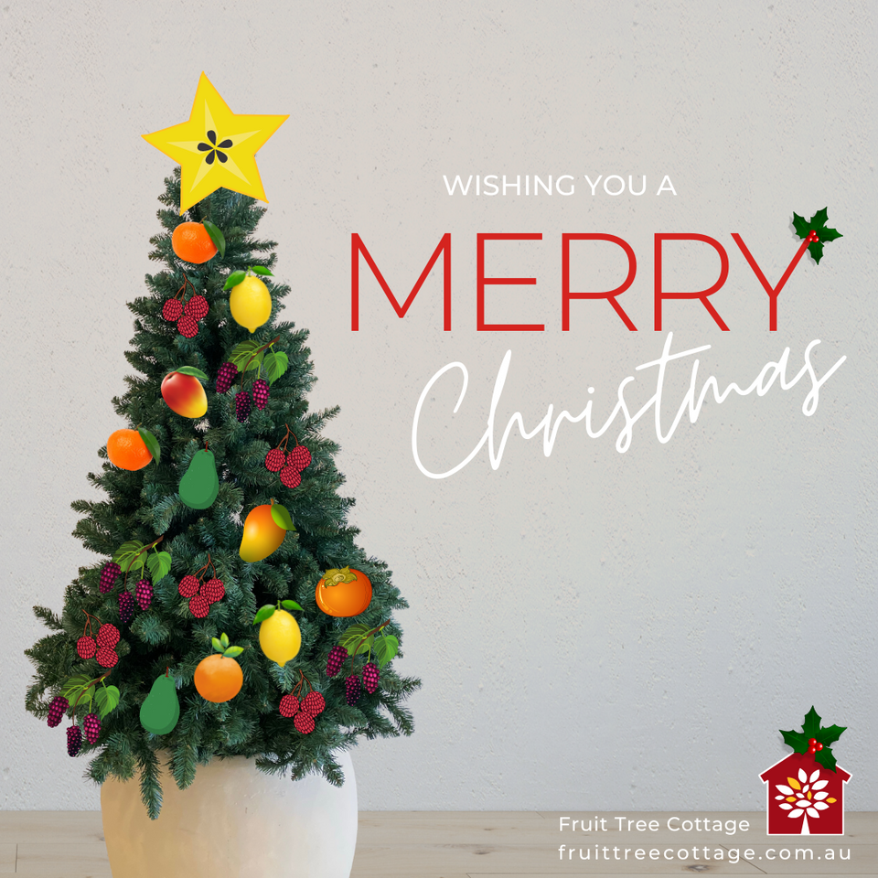 Merry Christmas from Fruit Tree Cottage! (2021)