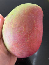 Load image into Gallery viewer, Mango | Rosa
