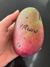 Load image into Gallery viewer, Semi-Dwarf Mango | Irwin
