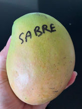 Load image into Gallery viewer, Mango | Sabre
