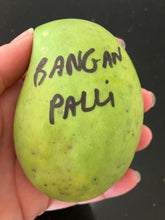 Load image into Gallery viewer, Mango | Banganapalli
