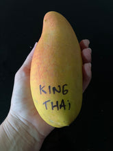 Load image into Gallery viewer, Dwarf Mango | King Thai
