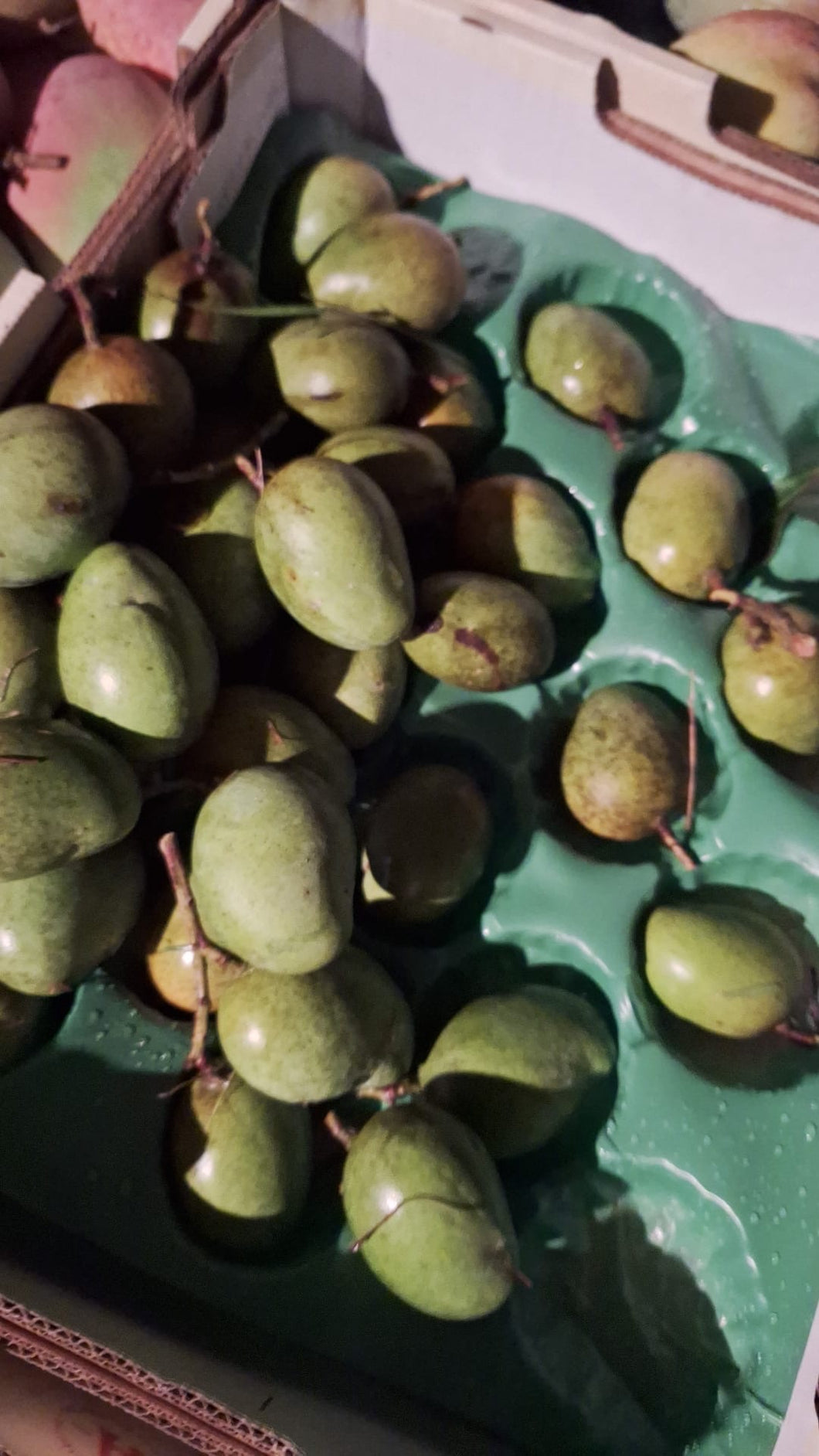 Mango | Chandrakaran