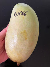Load image into Gallery viewer, Mango | Rupee
