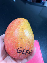 Load image into Gallery viewer, Mango | Glenn
