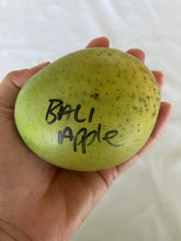 Load image into Gallery viewer, Mango | Bali Apple
