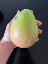 Load image into Gallery viewer, Mango | Sabre
